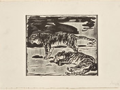 Max Slevogt, Zwei Tiger, 1920–1928, Radierung mit Aquatinta, sog. „Malradierung“ © GDKE RLP, Landesmuseum Mainz, R. R. Steffens