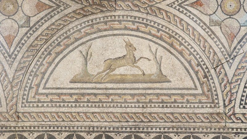 Orpheus Mosaik - Ausschnitt © GDKE, Landesmuseum Mainz, Foto: K. Pelka